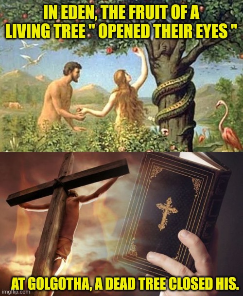 IN EDEN, THE FRUIT OF A LIVING TREE " OPENED THEIR EYES "; AT GOLGOTHA, A DEAD TREE CLOSED HIS. | image tagged in snake eden,jesus cross bible | made w/ Imgflip meme maker