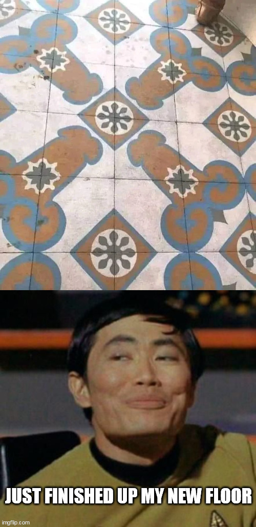 oh my | JUST FINISHED UP MY NEW FLOOR | image tagged in mr sulu,oh my,floor | made w/ Imgflip meme maker