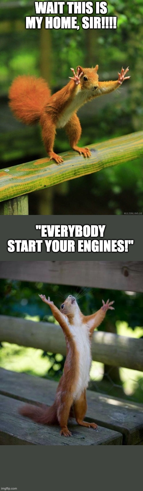 Deforestation | WAIT THIS IS MY HOME, SIR!!!! "EVERYBODY START YOUR ENGINES!" | image tagged in wait a minute squirrel,happy squirrel | made w/ Imgflip meme maker