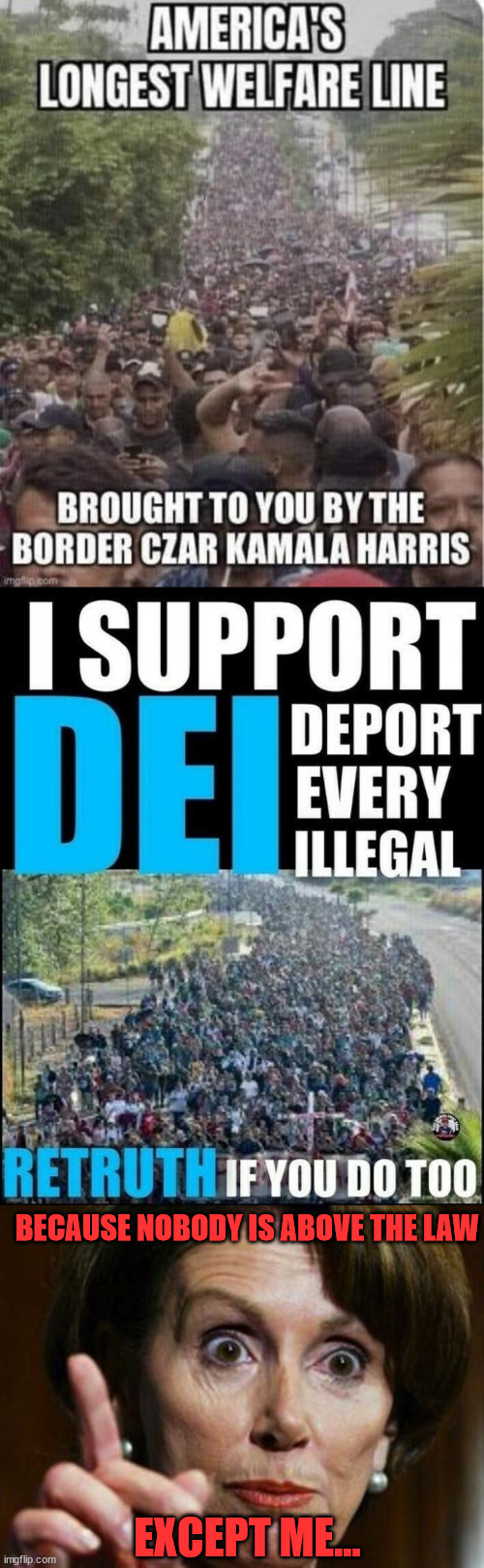 DEI - Deport Every Illegal...  because nobody is above the law | BECAUSE NOBODY IS ABOVE THE LAW; EXCEPT ME... | image tagged in deport every illegal,dems destroying america with open borders | made w/ Imgflip meme maker