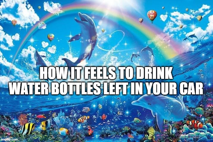 I love organically hot water | HOW IT FEELS TO DRINK WATER BOTTLES LEFT IN YOUR CAR | image tagged in happy dolphin rainbow | made w/ Imgflip meme maker