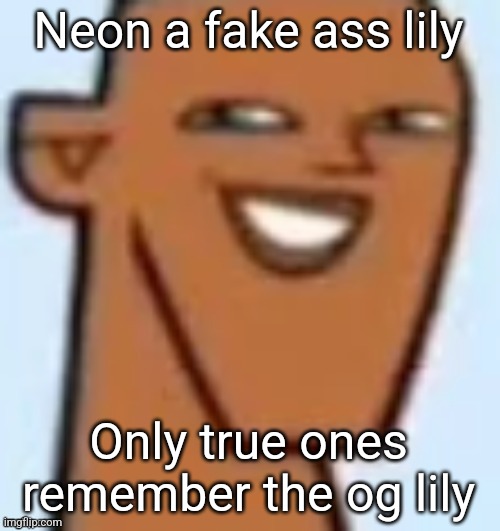 Unless I'm stupid idk I never really cared about that mf | Neon a fake ass lily; Only true ones remember the og lily | image tagged in justin | made w/ Imgflip meme maker