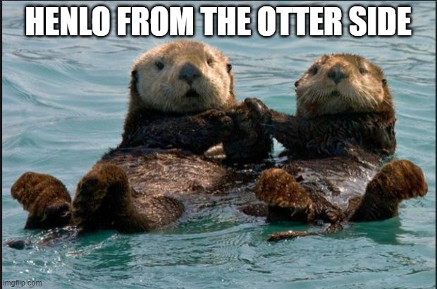 daily cute meme #1 | HENLO FROM THE OTTER SIDE | image tagged in otter couple | made w/ Imgflip meme maker