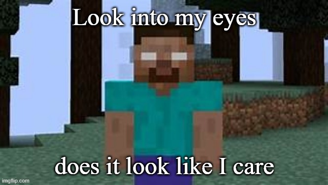 Herobrine doesn't care | image tagged in herobrine doesn't care | made w/ Imgflip meme maker