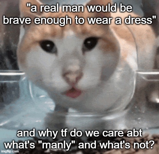 Mr Shock stare | "a real man would be brave enough to wear a dress"; and why tf do we care abt what's "manly" and what's not? | image tagged in mr shock stare | made w/ Imgflip meme maker