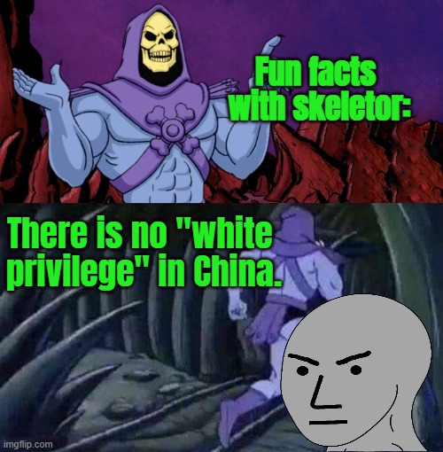 he man skeleton advices | Fun facts 
with skeletor: There is no "white 
privilege" in China. | image tagged in he man skeleton advices | made w/ Imgflip meme maker