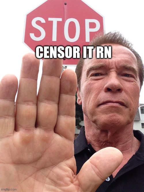 Arnold Schwarzenegger Stop | CENSOR IT RN | image tagged in arnold schwarzenegger stop | made w/ Imgflip meme maker