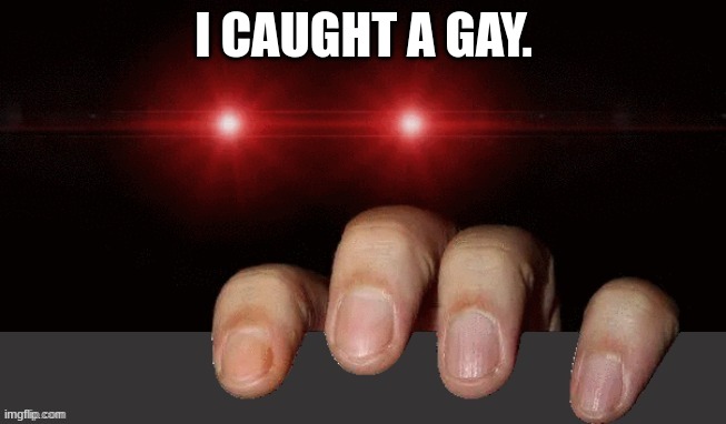 I caught a gay (top) | I CAUGHT A GAY. | image tagged in i caught a gay top | made w/ Imgflip meme maker
