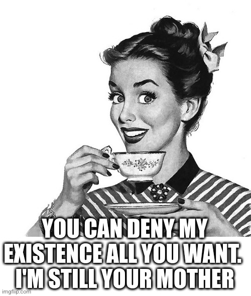 Retro woman teacup | YOU CAN DENY MY EXISTENCE ALL YOU WANT. 
I'M STILL YOUR MOTHER | image tagged in retro woman teacup | made w/ Imgflip meme maker