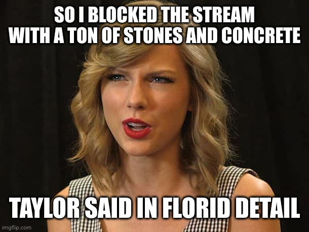 Taylor Swiftie | SO I BLOCKED THE STREAM WITH A TON OF STONES AND CONCRETE TAYLOR SAID IN FLORID DETAIL | image tagged in taylor swiftie | made w/ Imgflip meme maker