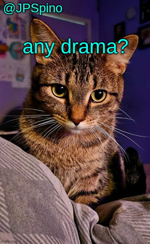 JPSpino's cat temp | any drama? | image tagged in jpspino's cat temp | made w/ Imgflip meme maker