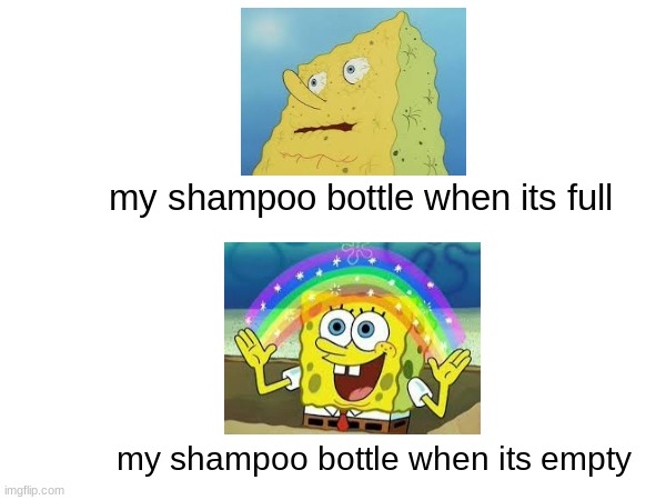 does this ever happen to anyone else? | my shampoo bottle when its full; my shampoo bottle when its empty | image tagged in ygdfhsjkmuhygbfsakjihusd,dunno what i'm doing,grahhhhh | made w/ Imgflip meme maker