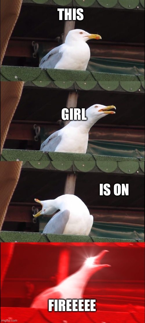 Inhaling Seagull | THIS; GIRL; IS ON; FIREEEEE | image tagged in memes,inhaling seagull | made w/ Imgflip meme maker