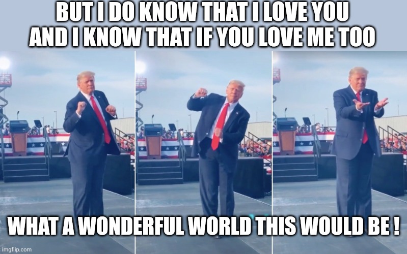 Trump Dancing | BUT I DO KNOW THAT I LOVE YOU AND I KNOW THAT IF YOU LOVE ME TOO WHAT A WONDERFUL WORLD THIS WOULD BE ! | image tagged in trump dancing | made w/ Imgflip meme maker