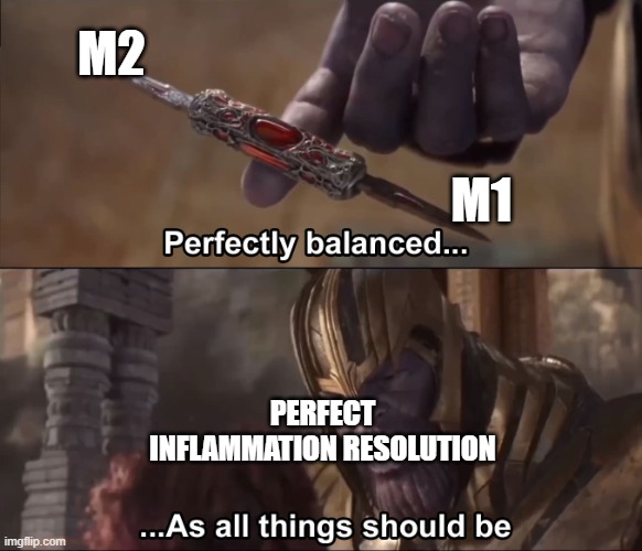 Thanos perfectly balanced as all things should be | M2; M1; PERFECT INFLAMMATION RESOLUTION | image tagged in thanos perfectly balanced as all things should be | made w/ Imgflip meme maker