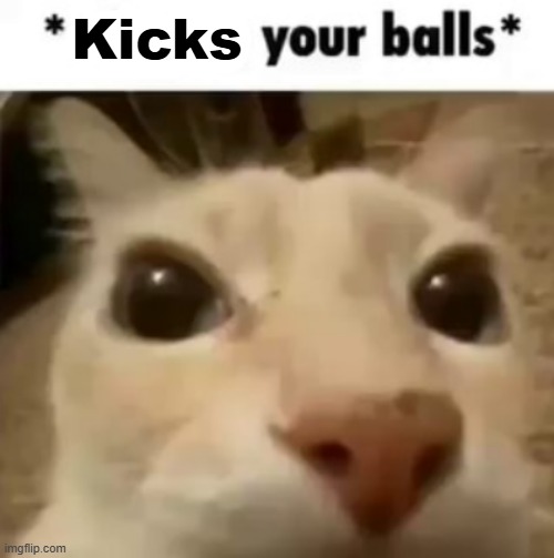 X your balls | Kicks | image tagged in x your balls | made w/ Imgflip meme maker