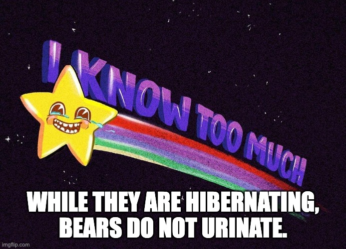 Whyyyyy? | WHILE THEY ARE HIBERNATING, BEARS DO NOT URINATE. | image tagged in i know too much | made w/ Imgflip meme maker