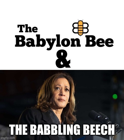 Some have to think to make up ridiculousness, for others it's natural | &; THE BABBLING BEECH | made w/ Imgflip meme maker