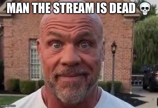 Post guys | MAN THE STREAM IS DEAD 💀 | image tagged in the stare | made w/ Imgflip meme maker