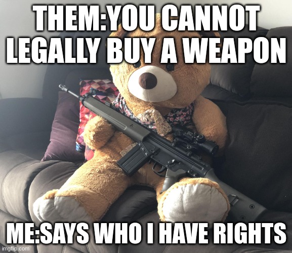 TED with Gun. | THEM:YOU CANNOT LEGALLY BUY A WEAPON; ME:SAYS WHO I HAVE RIGHTS | image tagged in ted with gun | made w/ Imgflip meme maker