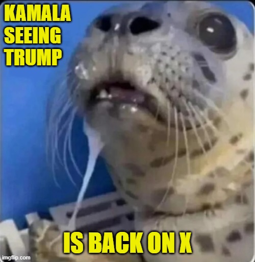 Better version tomorrow in politics! If they ever feature it | KAMALA
SEEING
TRUMP; IS BACK ON X | image tagged in maga,make america great again,twitter,x,trump,kamala harris | made w/ Imgflip meme maker