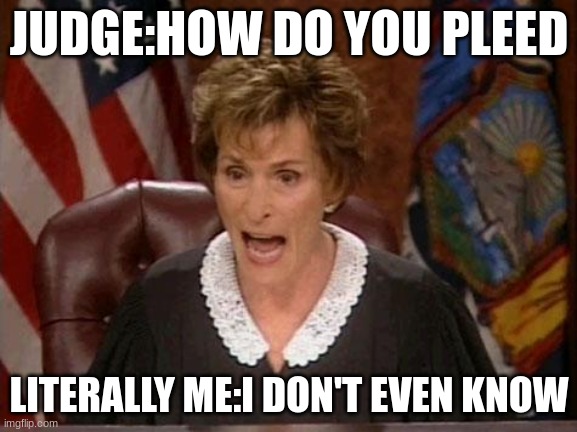 Judge Judy | JUDGE:HOW DO YOU PLEED; LITERALLY ME:I DON'T EVEN KNOW | image tagged in judge judy | made w/ Imgflip meme maker