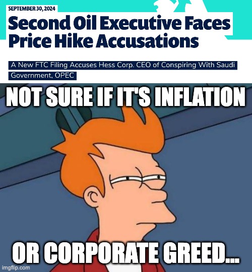 Corporate Greed | NOT SURE IF IT'S INFLATION; OR CORPORATE GREED... | image tagged in memes,futurama fry | made w/ Imgflip meme maker