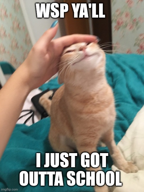 cat pat | WSP YA'LL; I JUST GOT OUTTA SCHOOL | image tagged in cat pat | made w/ Imgflip meme maker