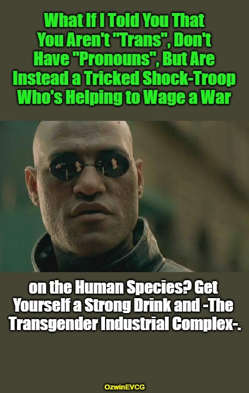 Reality and Humanity Matter More than Astroturfed or Transient Feelings. | image tagged in memes,matrix morpheus,transgender industrial complex,real talk,influence,pyramid | made w/ Imgflip meme maker