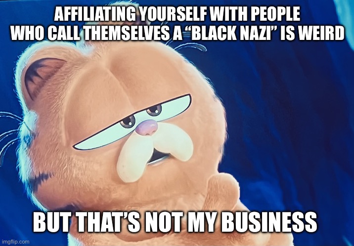 Garfield sarcastic | AFFILIATING YOURSELF WITH PEOPLE WHO CALL THEMSELVES A “BLACK NAZI” IS WEIRD; BUT THAT’S NOT MY BUSINESS | image tagged in garfield sarcastic | made w/ Imgflip meme maker