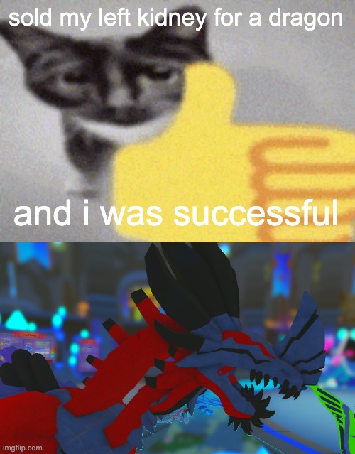 IUHNUOIENODAND MECHANICAL BOI | sold my left kidney for a dragon; and i was successful | image tagged in thumbs up cat | made w/ Imgflip meme maker