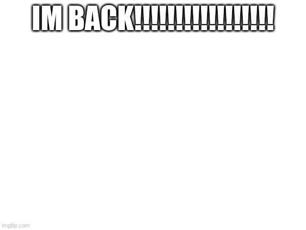 c | IM BACK!!!!!!!!!!!!!!!!! | image tagged in d | made w/ Imgflip meme maker