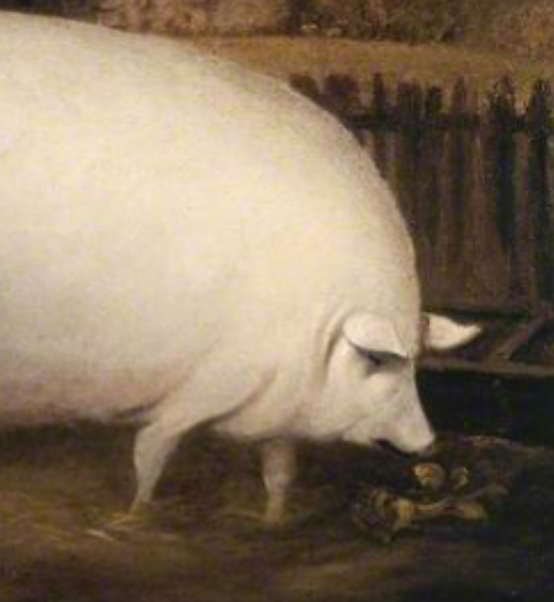 You truly are despicable, brother Blank Meme Template