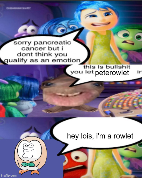 sorry pancreatic cancer but I don’t think you qualify as an emot | peterowlet; hey lois, i'm a rowlet | image tagged in sorry pancreatic cancer but i don t think you qualify as an emot | made w/ Imgflip meme maker