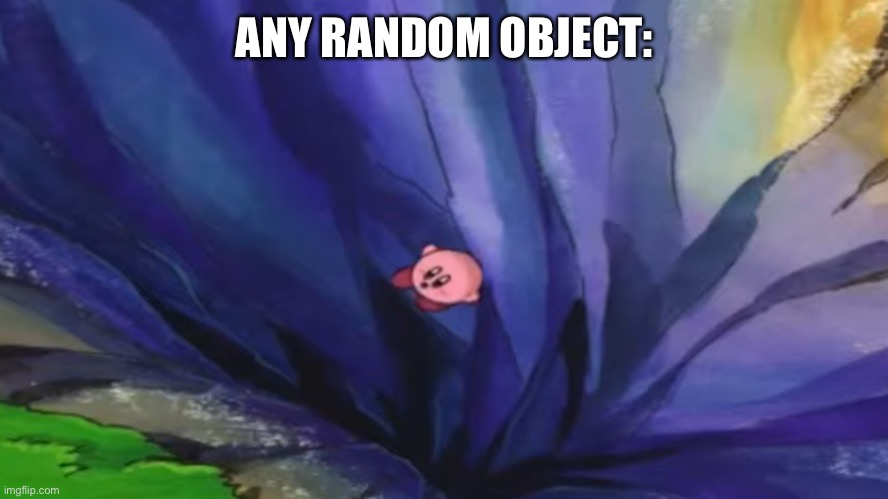 Kirby falling off a cliff (blank template) | ANY RANDOM OBJECT: | image tagged in kirby falling off a cliff blank template | made w/ Imgflip meme maker