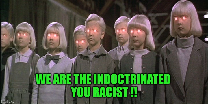 children of the corn | WE ARE THE INDOCTRINATED 
YOU RACIST !! | image tagged in children of the corn | made w/ Imgflip meme maker