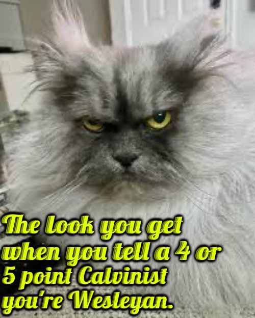 The Look You Get | The look you get when you tell a 4 or; 5 point Calvinist you're Wesleyan. | image tagged in calvinism,arminian,molinist,reformed theology,pharisees,division | made w/ Imgflip meme maker