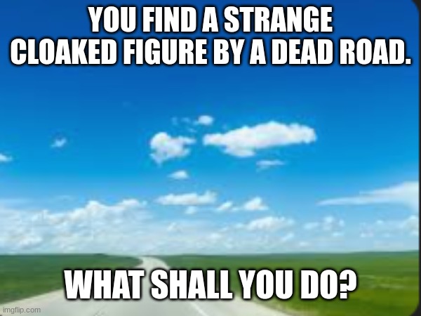 entropy. | YOU FIND A STRANGE CLOAKED FIGURE BY A DEAD ROAD. WHAT SHALL YOU DO? | made w/ Imgflip meme maker