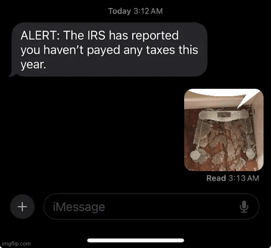 IRS report | image tagged in irs report | made w/ Imgflip meme maker