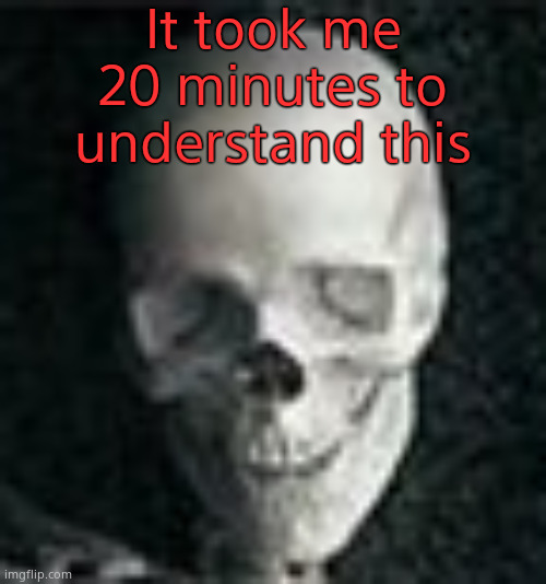 Skull | It took me 20 minutes to understand this | image tagged in skull | made w/ Imgflip meme maker