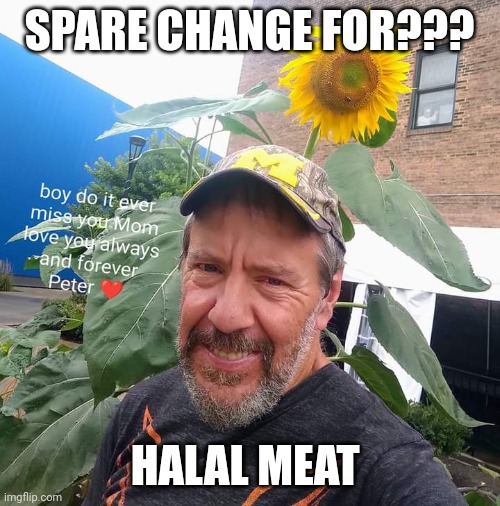 Spare Change For?? | SPARE CHANGE FOR??? HALAL MEAT | image tagged in peter plant,halal,arab,homeless cardboard,funny,memes about memes | made w/ Imgflip meme maker