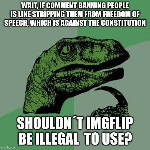 Philosoraptor Meme | WAIT, IF COMMENT BANNING PEOPLE IS LIKE STRIPPING THEM FROM FREEDOM OF SPEECH, WHICH IS AGAINST THE CONSTITUTION; SHOULDN´T IMGFLIP BE ILLEGAL  TO USE? | image tagged in memes,philosoraptor | made w/ Imgflip meme maker