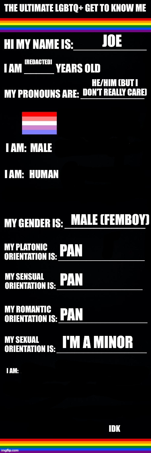 The ultimate LGBTQ+ get to know me | JOE; [REDACTED]; HE/HIM (BUT I DON'T REALLY CARE); MALE (FEMBOY); PAN; PAN; PAN; I'M A MINOR | image tagged in the ultimate lgbtq get to know me | made w/ Imgflip meme maker