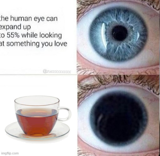 for those who know | image tagged in the human eye can expand up to 55 | made w/ Imgflip meme maker