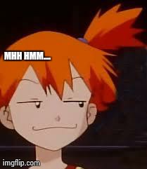 Derp Face Misty | MHH HMM.... | image tagged in derp face misty | made w/ Imgflip meme maker
