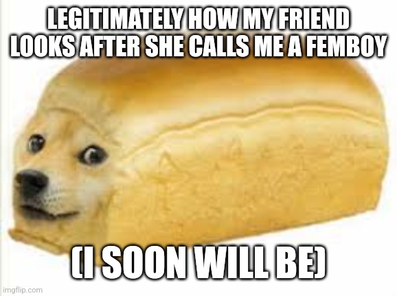 Is this related or am I a donut | LEGITIMATELY HOW MY FRIEND LOOKS AFTER SHE CALLS ME A FEMBOY; (I SOON WILL BE) | image tagged in doge bread | made w/ Imgflip meme maker