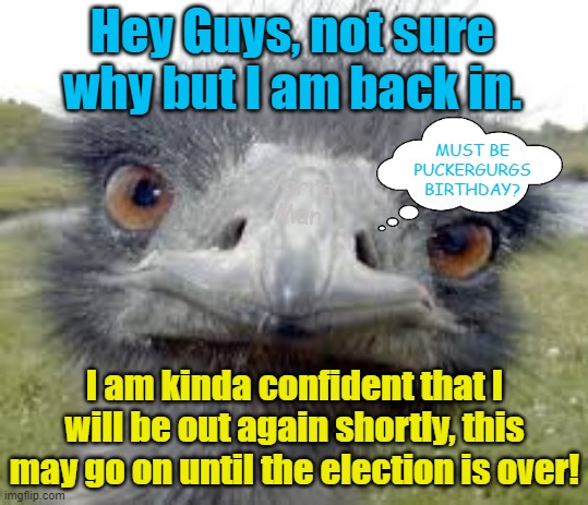 I am back, not sure why because the election is is in less than 30 days! | Hey Guys, not sure why but I am back in. MUST BE PUCKERGURGS BIRTHDAY? Yarra Man; I am kinda confident that I will be out again shortly, this may go on until the election is over! | image tagged in community standards,democrat,progressive,facebook,kin punishment,communist | made w/ Imgflip meme maker