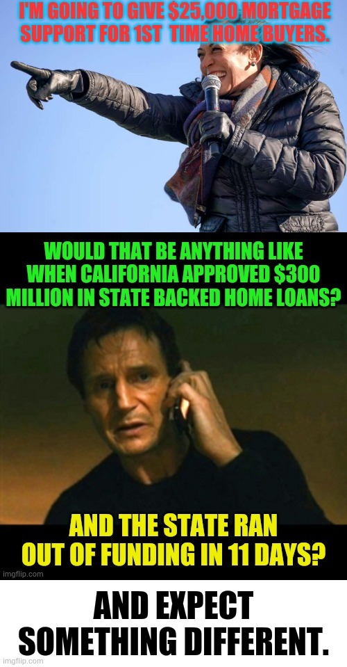 When You Do The Same Thing... | AND EXPECT SOMETHING DIFFERENT. | image tagged in memes,kamala harris,mortgage,support,liam neeson taken 2,california | made w/ Imgflip meme maker