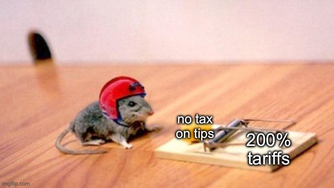 Mouse Trap | no tax on tips; 200% tariffs | image tagged in mouse trap | made w/ Imgflip meme maker