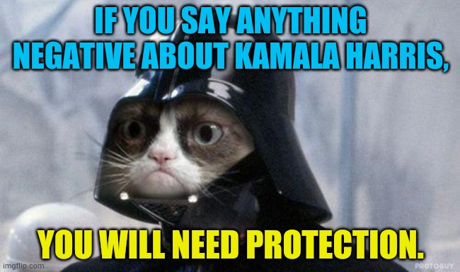 Look Out... | IF YOU SAY ANYTHING NEGATIVE ABOUT KAMALA HARRIS, YOU WILL NEED PROTECTION. | image tagged in memes,grumpy cat star wars,kamala harris,negative,protection,politics | made w/ Imgflip meme maker